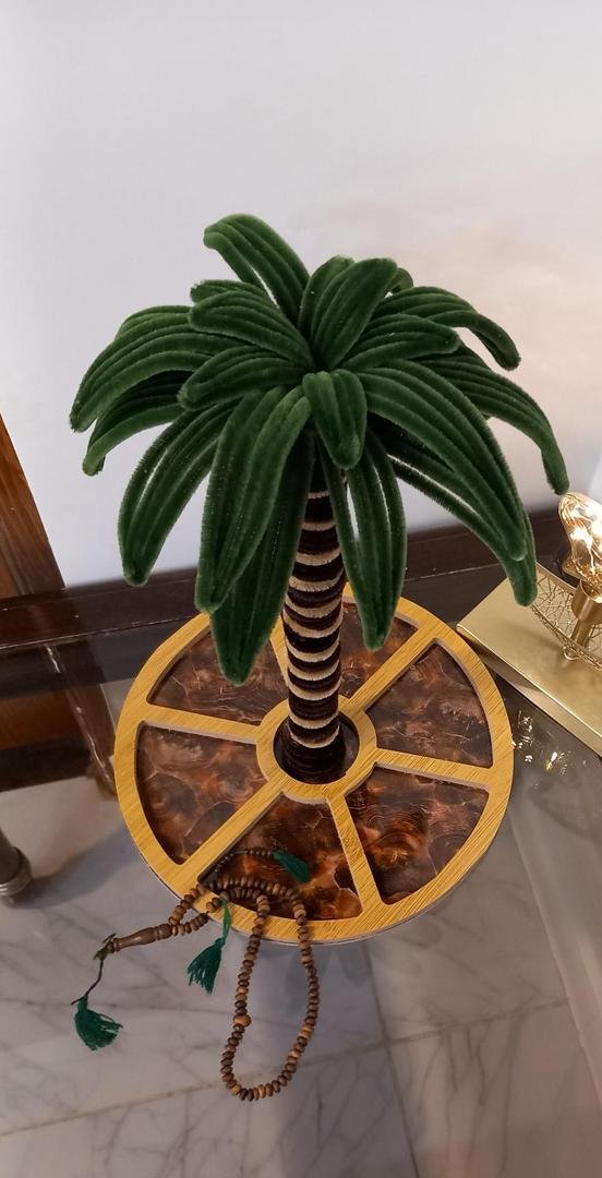 صورة إضافية