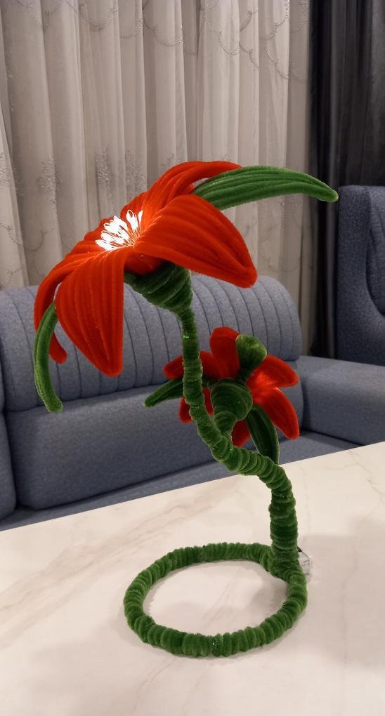 صورة إضافية