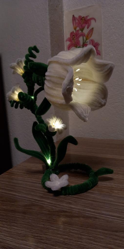 صورة إضافية