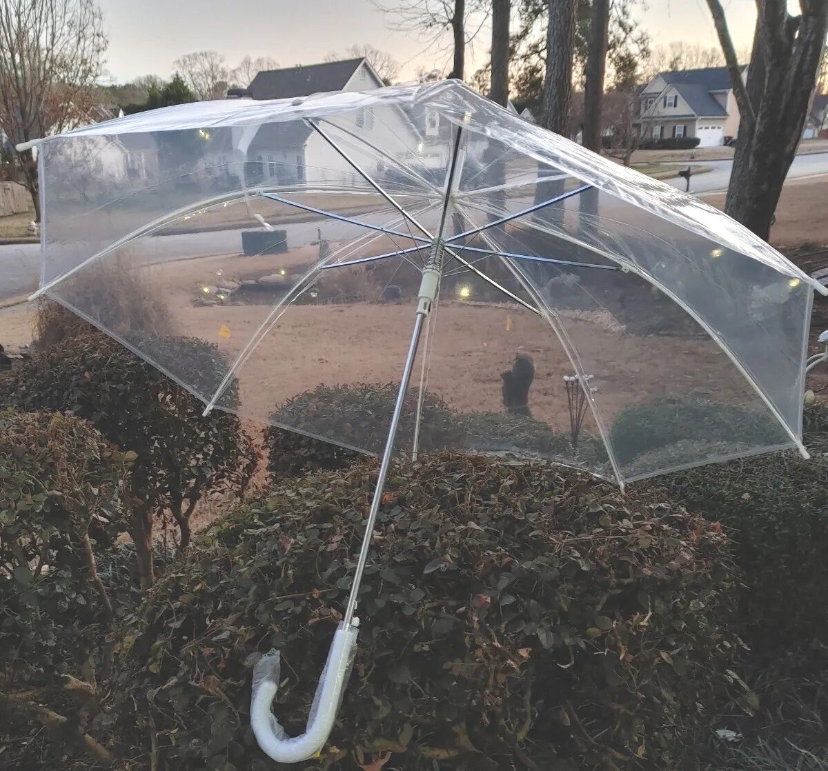 شمسية مضيئة شفافة